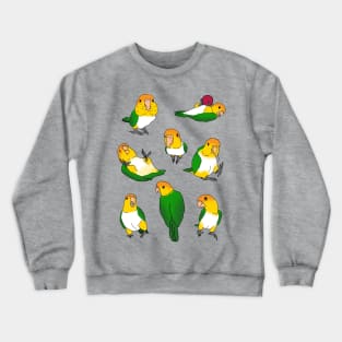 caique doodle pattern Crewneck Sweatshirt